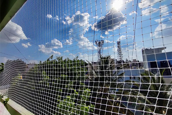 Anti Bird Nets Gurugram