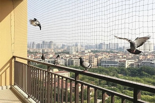Pigeon Nets For Balcony Gurugram